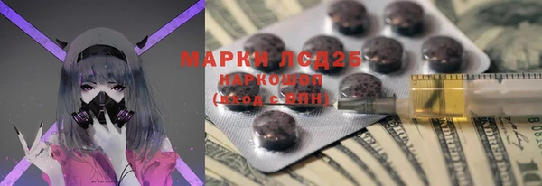 прущие грибы Алзамай