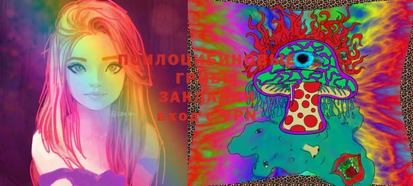 индика Абдулино