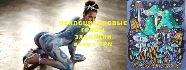 прущие грибы Алзамай